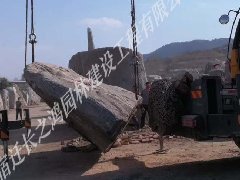 景觀石發(fā)貨現(xiàn)場(chǎng)